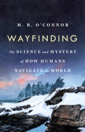 oconnor-wayfinding